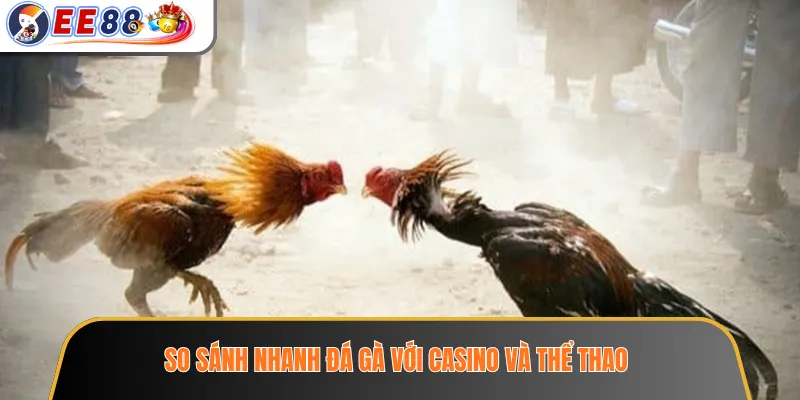 So sánh nhanh đá gà với casino và thể thao