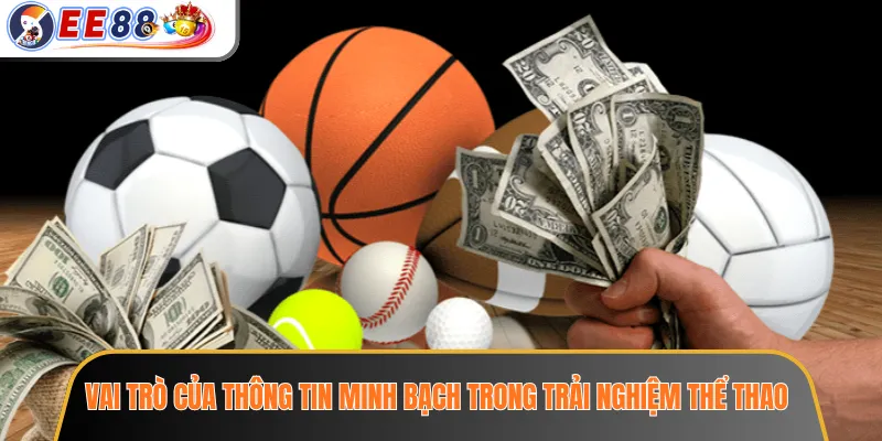 Vai trò của thông tin minh bạch trong trải nghiệm thể thao